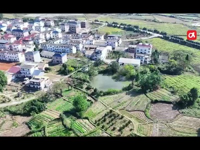 江西新余：渝水城乡记忆之百年楠木度光阴