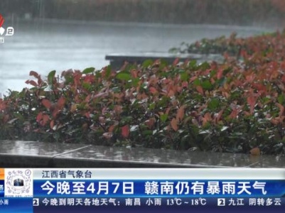 江西省气象台：今晚至4月7日 赣南仍有暴雨天气