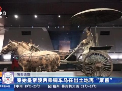 陕西西安：秦始皇帝陵两乘铜车马在出土地再“聚首”