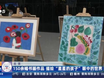 北京：150余幅书画作品 描绘“星星的孩子”眼中的世界