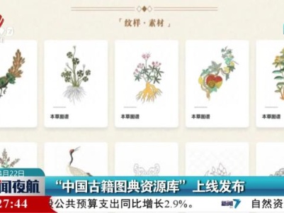 “中国古籍图典资源库”上线发布