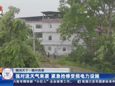 【赣闻天下】赣州南康：强对流天气来袭 紧急抢修受损电力设施