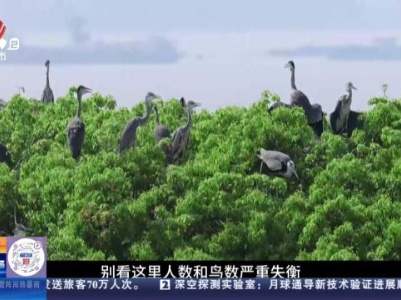【与江西的100次乡遇】九江都昌：遇见鸟比人多的村庄 达子咀村