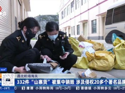 昌北机场海关：332件“山寨货”被集中销毁 涉及侵权20多个著名品牌
