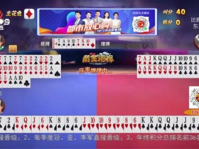 谁是赢家20240408