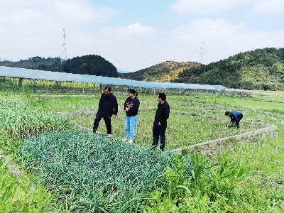 宜春市袁州区开展耕地质量监测点实地踏勘和指导工作