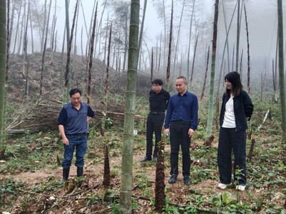 醴陵市林业局来萍乡湘东区交流林业产业工作