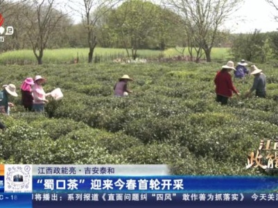 都市现场20240406