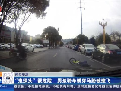 萍乡安源：“鬼探头”很危险 男孩骑车横穿马路被撞飞