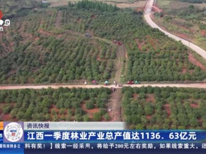 江西一季度林业产业总产值达1136.63亿元