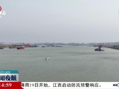 长江九江段生态持续向好 频现江豚捕食嬉戏场景