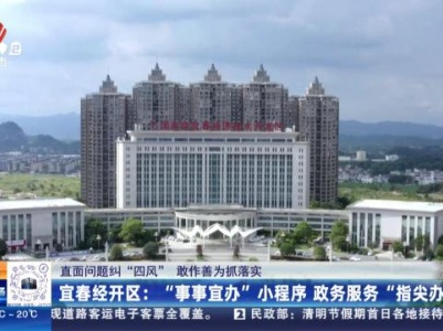 【直面问题纠“四风” 敢作善为抓落实】宜春经开区：“事事宜办”小程序 政务服务“指尖办”