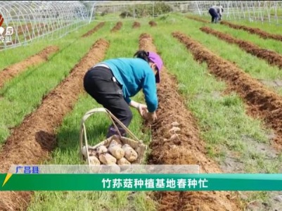 三农头条20240401