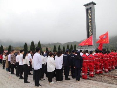 宜春市袁州区水江镇开展“铸魂·2024·清明祭英烈”主题祭扫纪念活动