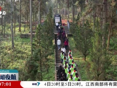 清明祭忆：致敬“老阿姨”的如荷人生