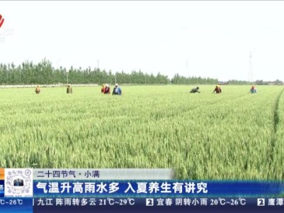 【二十四节气·小满】气温升高雨水多 入夏养生有讲究