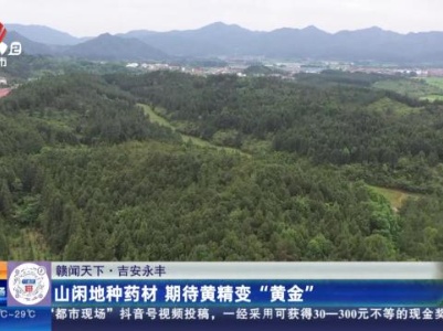 都市现场·午间版20240510