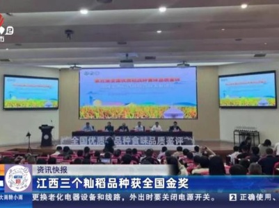 江西三个籼稻品种获全国金奖