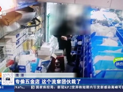 鹰潭：专偷五金店 这个流窜团伙栽了