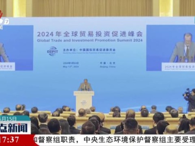 2024年全球贸易投资促进峰会在京举办