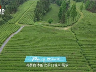 赣出精彩20240510