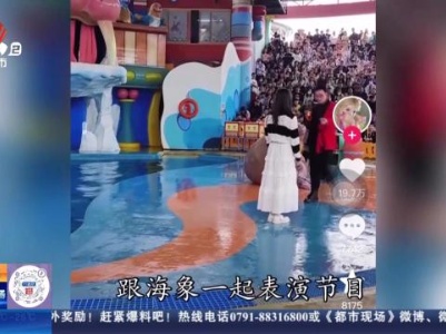 【新闻热搜】湖北武汉：女子和海象互动 海象太热情把女子挤下水