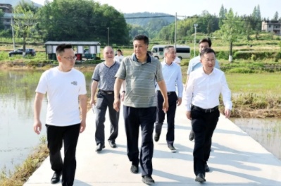 江西省烟草专卖局（公司）党组书记、局长姜凯一行到上饶市玉山县仙岩调研乡村振兴工作