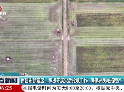 南昌市新建区：积极开展灾后抢收工作 确保农民减损稳产