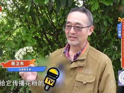 地宝当家20240521