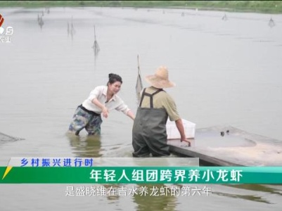 稻花香里20240514 乡村振兴进行时——年轻人组团跨界养小龙虾