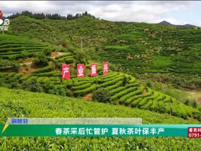 三农头条20240507