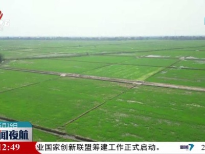 新闻夜航20240519