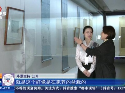 【家有收藏·跟着文物看古今】八大山人纪念馆：当八大山人偶遇郑板桥 一简一怪流传百年