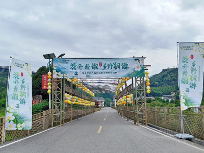 “花开赣湘 乡野桐游”萍乡市第六届桐花季文旅主题活动开幕
