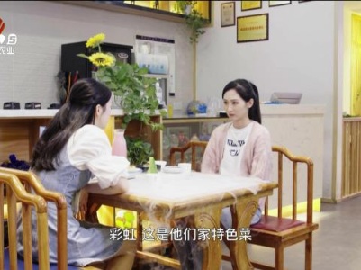 乡村栏目剧场20240519 错的时间遇上对的你