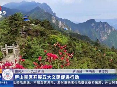 都市现场·午间版20240501