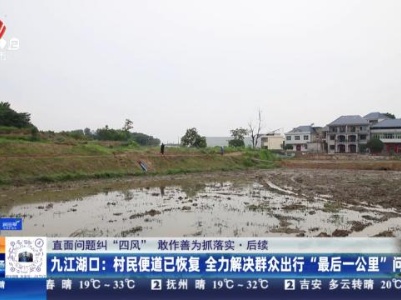 都市现场20240516