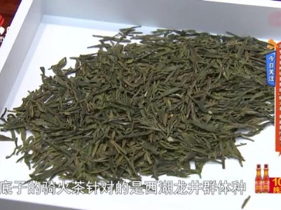 今日关注——深受老茶枪们喜爱的“骑火茶”到底是什么？