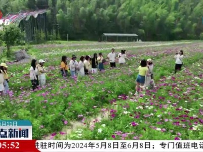 初夏花正艳 “鲜花经济”升温