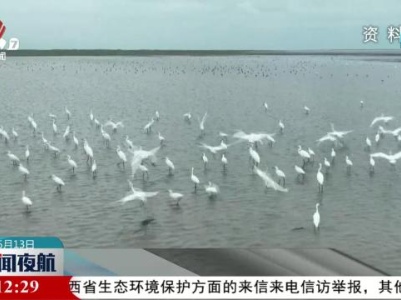 专家建言献策 共同推进鄱阳湖湿地保护