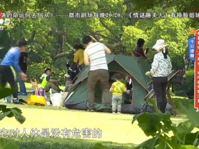 今日提醒——春夏易招“小黑虫” 如何避免需注意