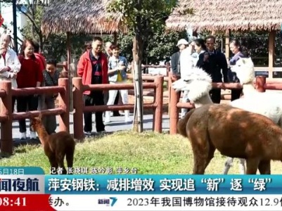 萍安钢铁：减排增效 实现追“新”逐“绿”