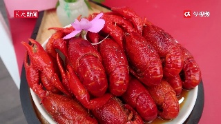 吉水龙虾你吃过吗？5月10日至12日到吉水享龙虾盛宴