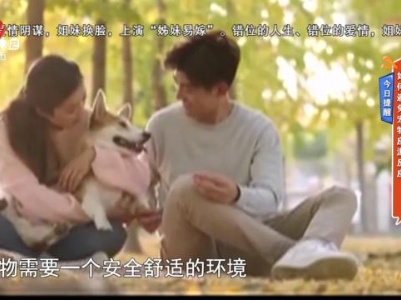 地宝当家20240514