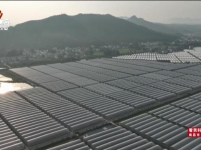 三农头条20240516
