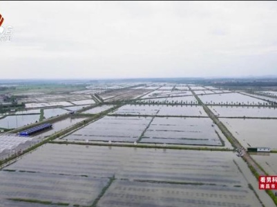 三农头条20240509