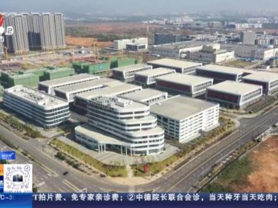 都市现场20240507