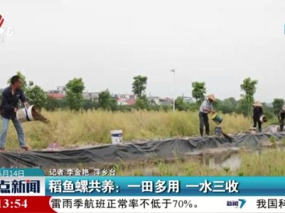 稻鱼螺共养：一田多用 一水三收