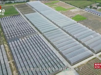 三农头条20240506
