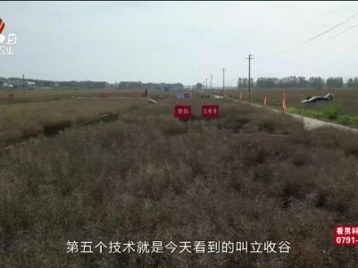 三农头条20240514